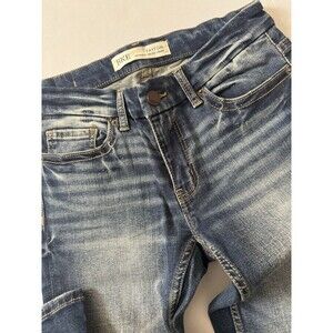 BKE Womens Jeans Blue 25x 33.5 Stretch Payton Universal Mid Rise Straight